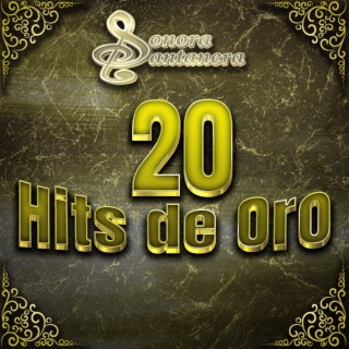 20 Hits de Oro