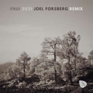 2021 (Joel Forsberg Remix)