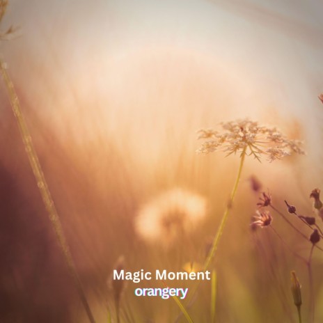 Magic Moment ft. Lesfm | Boomplay Music
