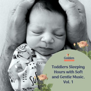 Toddlers Sleeping Hours with Soft and Gentle Music, Vol. 1