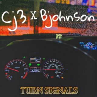 Turn Signals