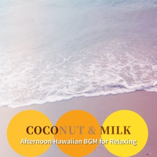 Afternoon Hawaiian Bgm for Relaxing