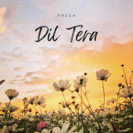 Dil Tera | Boomplay Music