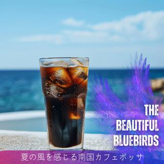 夏の風を感じる南国カフェボッサ