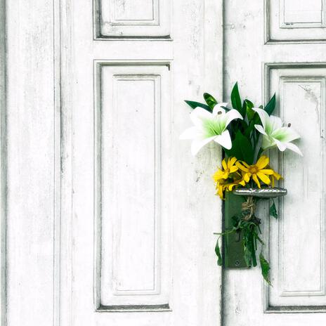 Yellow Flowers