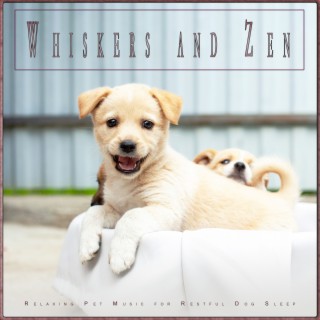Whiskers and Zen: Relaxing Pet Music for Restful Dog Sleep