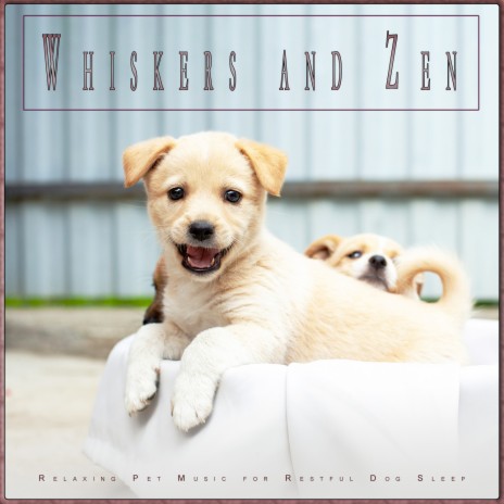 Gentle Dog Sleeping Music ft. Dog Music Dreams & Dog Music | Boomplay Music