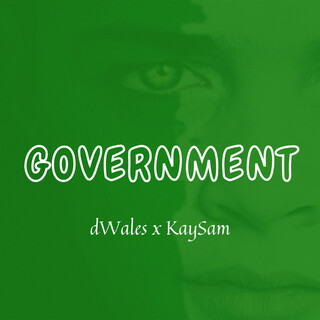 Government