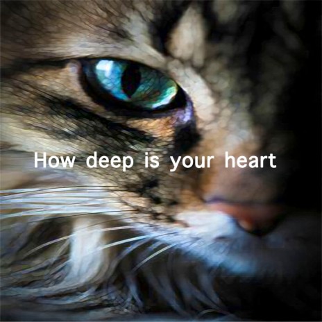 How Deep Is Your Heart