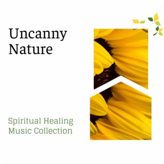 Uncanny Nature - Spiritual Healing Music Collection