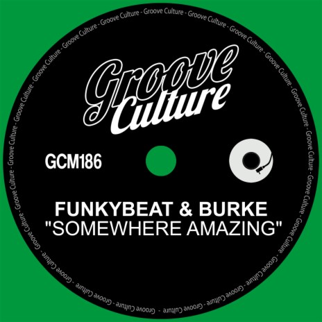 Somewhere Amazing (Radio Edit) ft. Burke | Boomplay Music