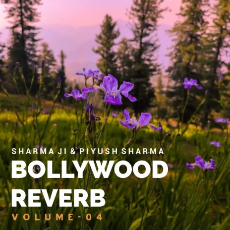 Saiyaara (Slowed + Reverb) ft. Piyush Kumar | Boomplay Music