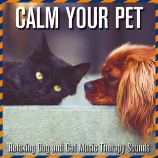 Calm Your Pet: Relaxing Dog and Cat Music Therapy Sounds