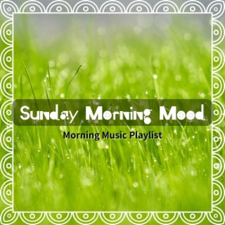 Morning Music Playlist