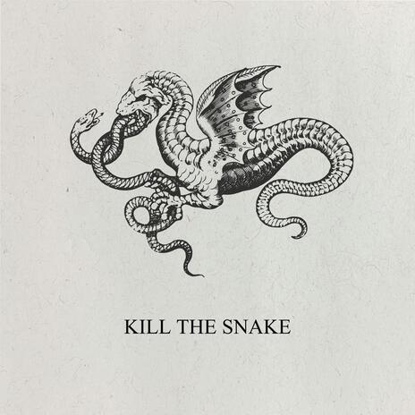 KILL THE SNAKE | Boomplay Music