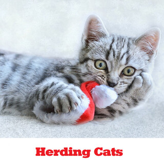 Herding Cats