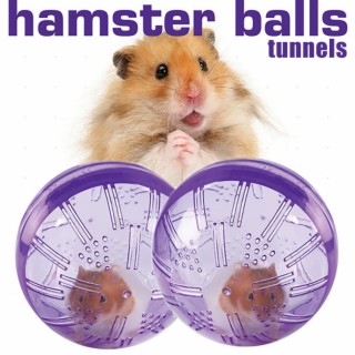Hamster Balls