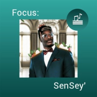 Focus: SenSey'