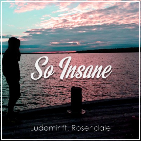 So Insane (feat. Rosendale) | Boomplay Music