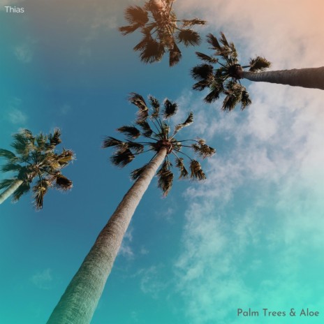 Palm Trees & Aloe