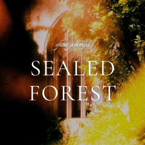 Sealed Forest | Boomplay Music