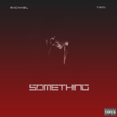 SOMETHING ft. Tani | Boomplay Music