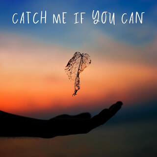 Catch Me If You Can