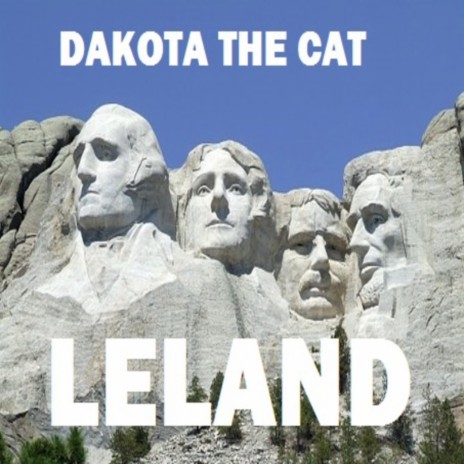Dakota The Cat | Boomplay Music