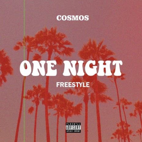 One Night Freestyle | Boomplay Music