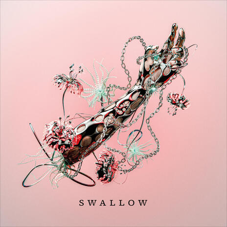 Swallow | Boomplay Music