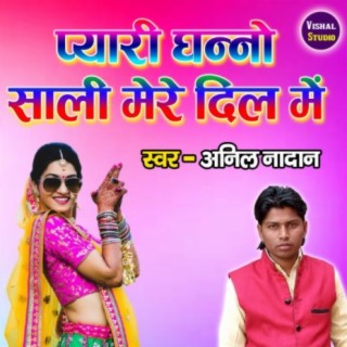 Pyari Dhanno Sali