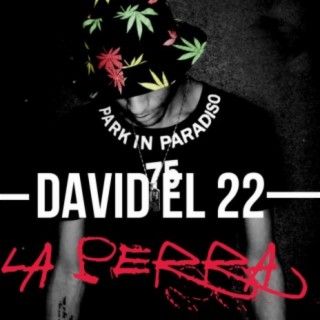 David el 22