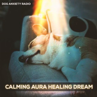 Calming Aura Healing Dream