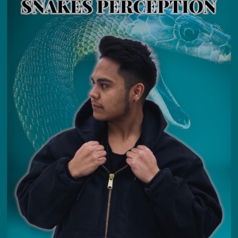Snakes perception