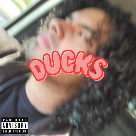 Ducks | Boomplay Music