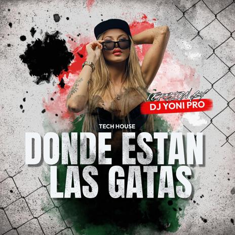 Donde Estan Las Gatas | Boomplay Music