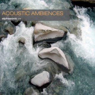 Acoustic Ambiences