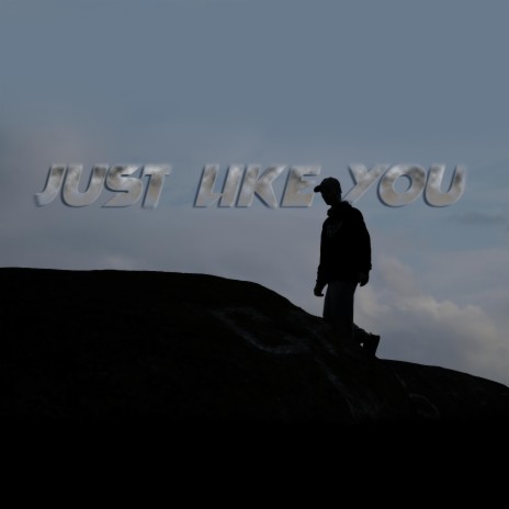 Just Like You | Boomplay Music