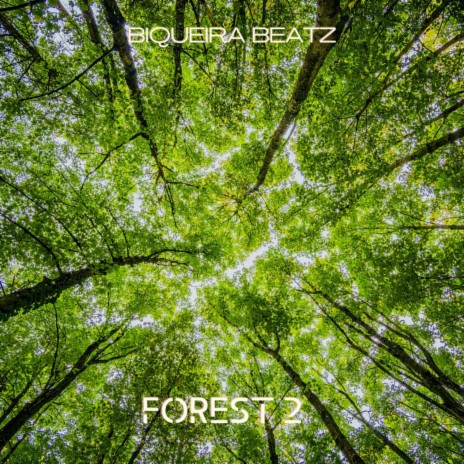 Forest 2