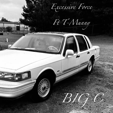 Excessive Force | Boomplay Music