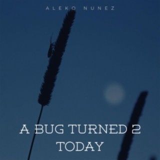 A Bug Turned 2 Today