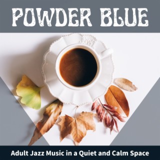 Adult Jazz Music in a Quiet and Calm Space