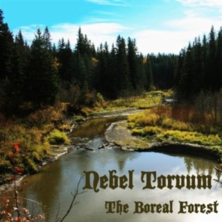 The Boreal Forest