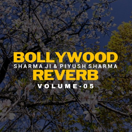 Maine Royaan (Slowed + Reverb) ft. Piyush Kumar | Boomplay Music