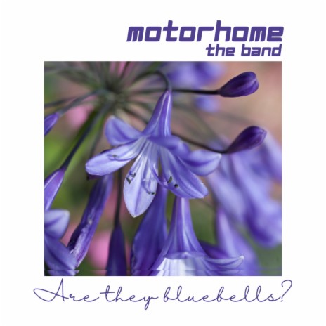 Are They Bluebells? | Boomplay Music