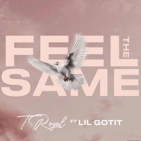 Feel The Same [feat. Lil Gotit] | Boomplay Music