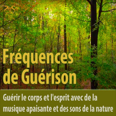 Fréquences de guérison - guérison du corps et de l'esprit nature et musique douce ft. SyncSouls & Torsten Abrolat | Boomplay Music