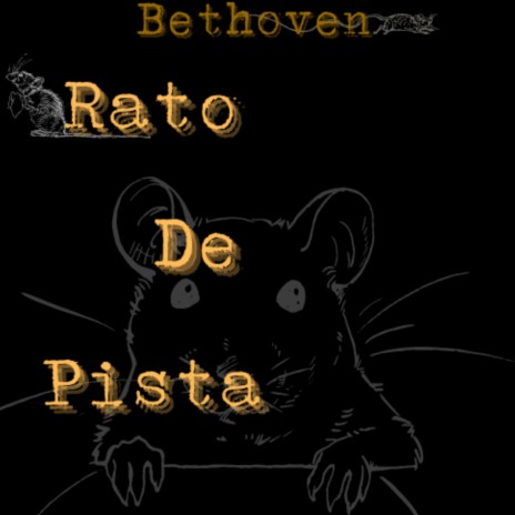 Rato de Pista | Boomplay Music