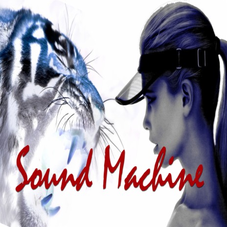 Sound Machine | Boomplay Music