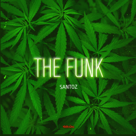 The Funk | Boomplay Music